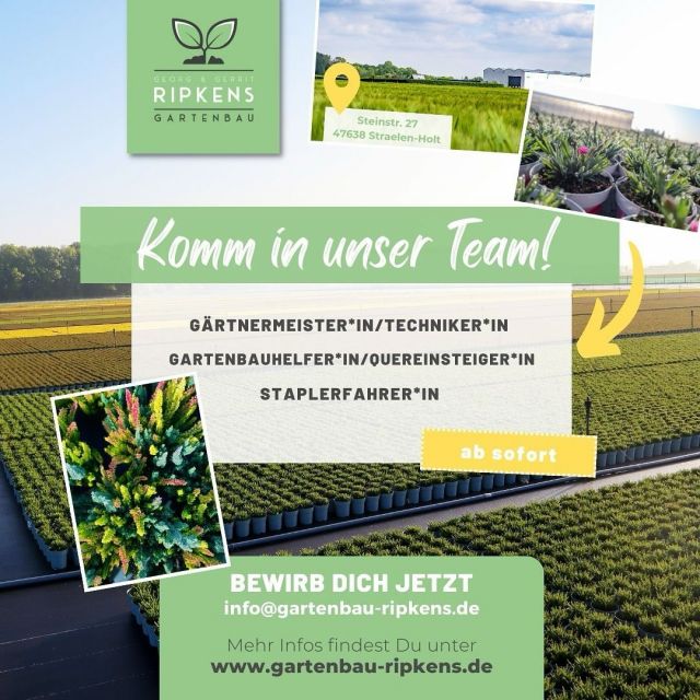 Betrieb & Team | Gartenbau Ripkens in Straelen am Niederrhein